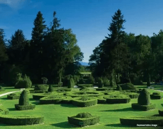 Multi-Purpose Lawn